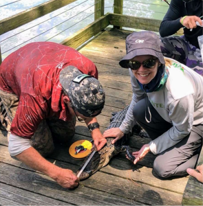 PIs Evaluating alligators